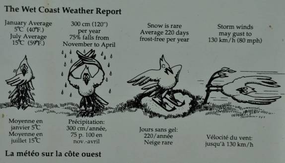 As condições climáticas da 'Wet Coast', na British Columbia, no Canadá
